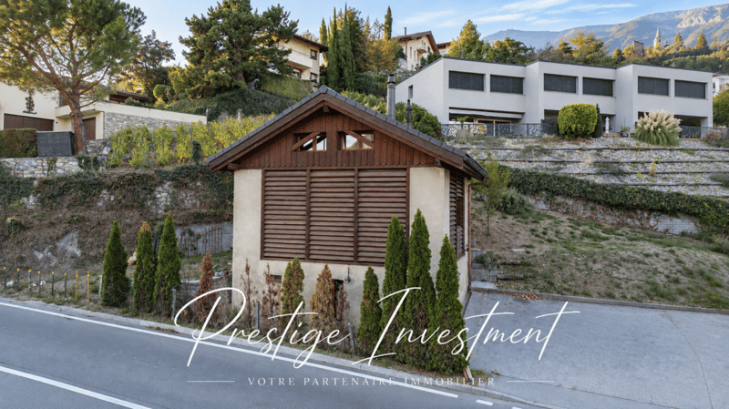 GRANGE RÉNOVÉE DE 3.5 PCES - VEYRAS (3)