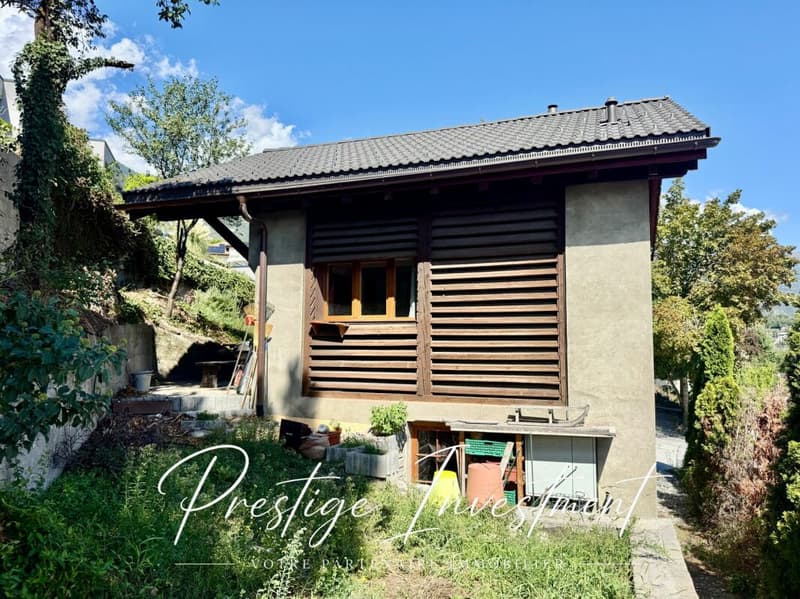 GRANGE RÉNOVÉE DE 3.5 PCES - VEYRAS (15)