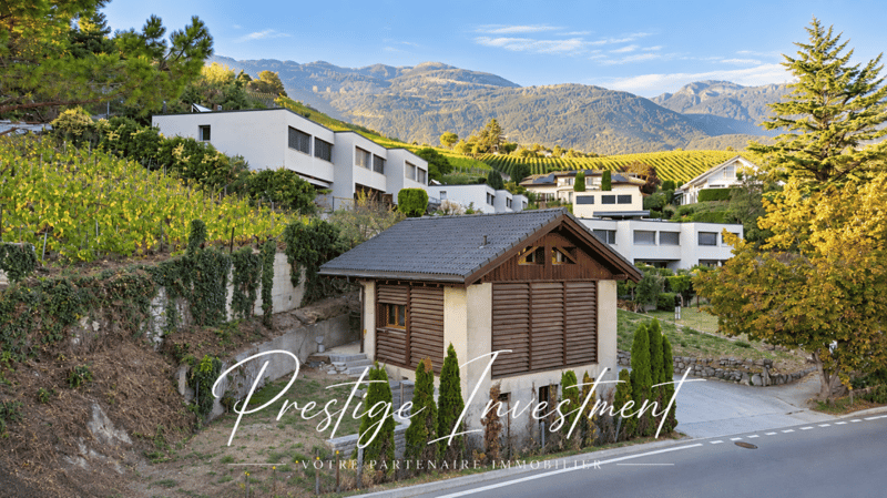 GRANGE RÉNOVÉE DE 3.5 PCES - VEYRAS (1)