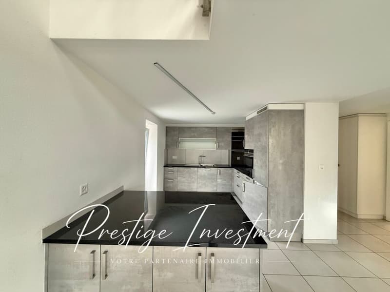 ATTIQUE - DUPLEX DE 4.5 PCES & 188 M2 - LEYTRON (6)