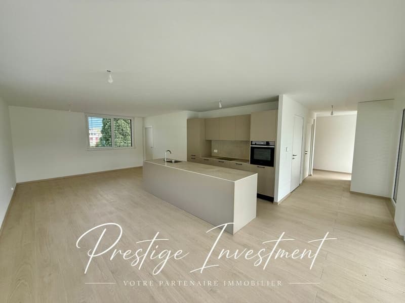 ATTIQUE 4.5 PCES & 172 M2 - UVRIER (1)