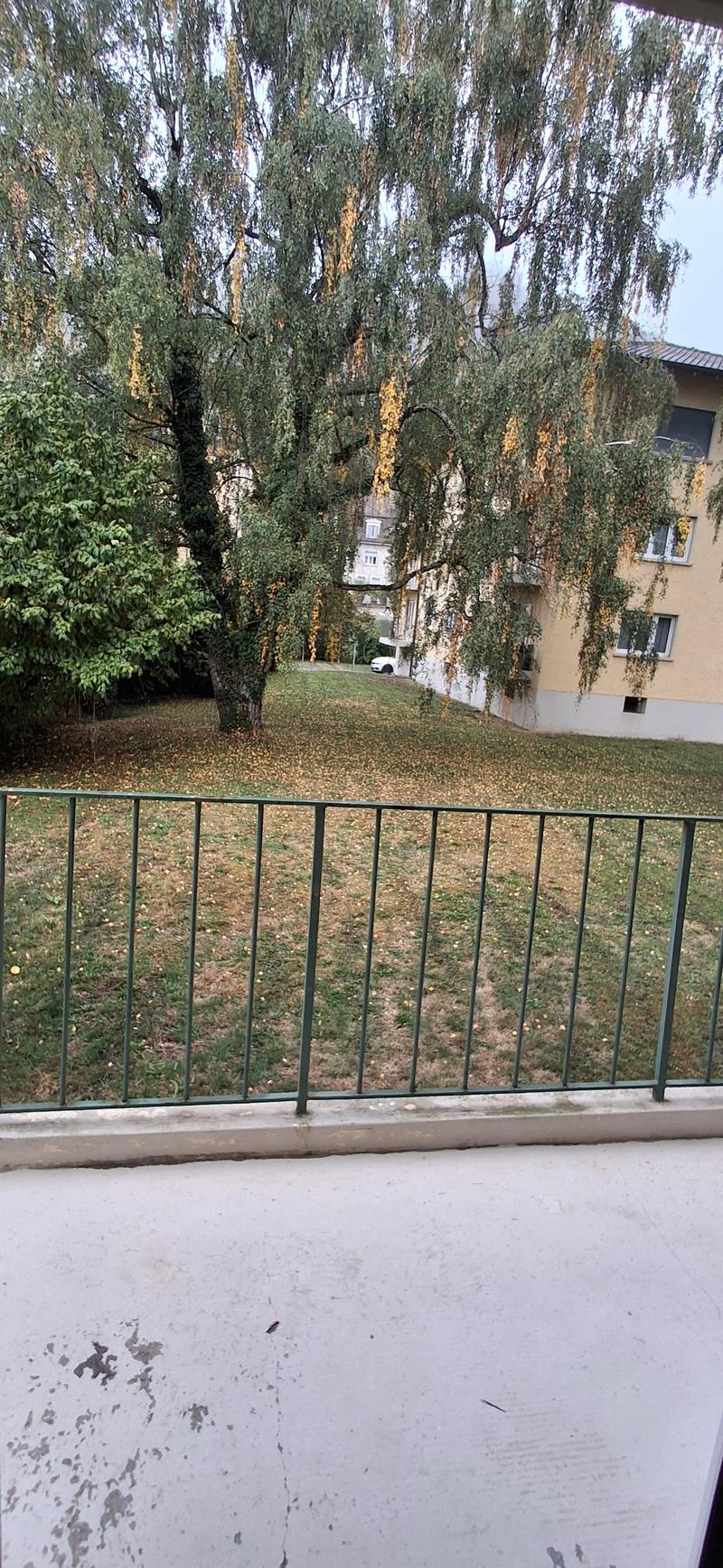 Appartement 3 pièces lumineux à Porrentruy – disponible immédiatement (6)