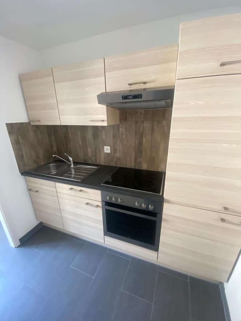 In affitto: appartamento 2 locali con cucina attrezzata - Jonchères 49 (6)
