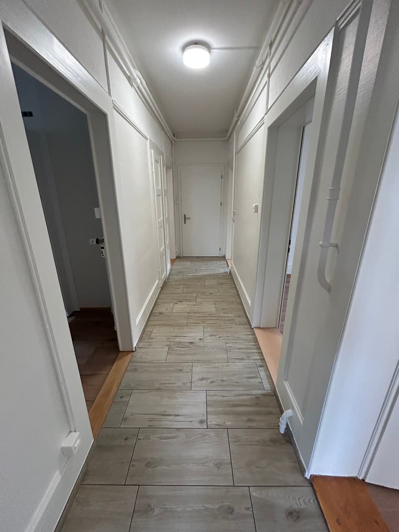 For rent: beautiful renovated 4.5-room apartment - Passage des Jardins 1 (8)