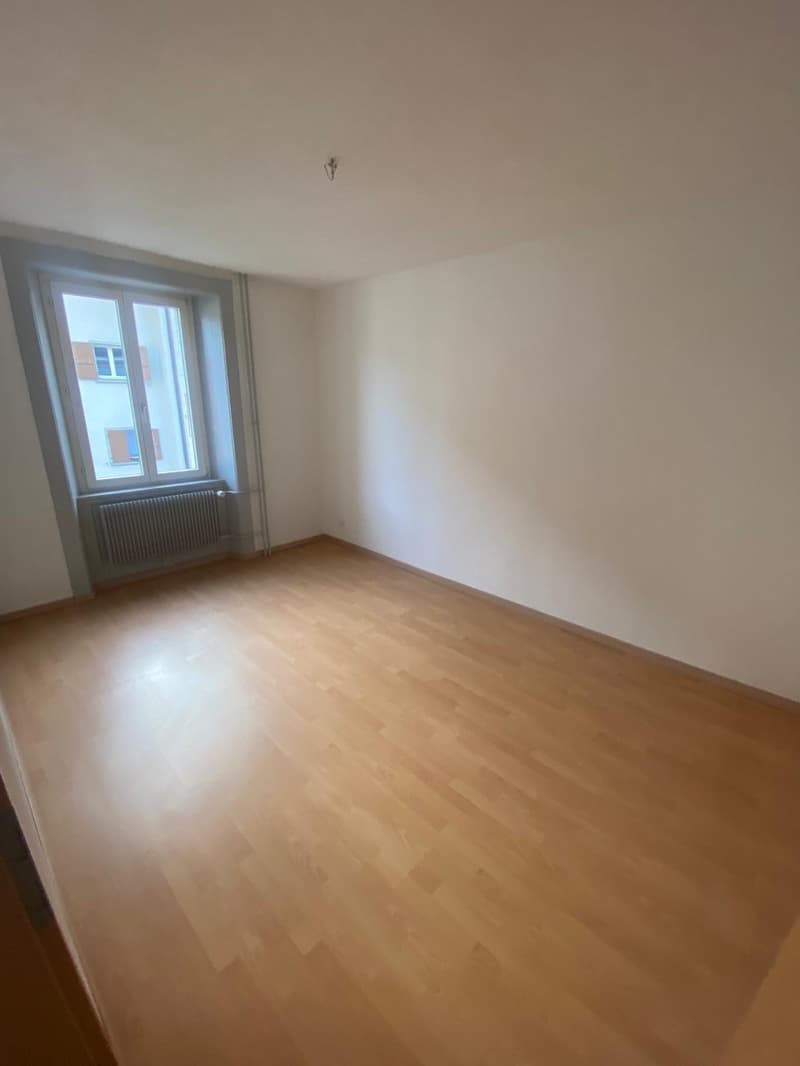 In affitto: appartamento 2 locali con cucina attrezzata - Jonchères 49 (3)