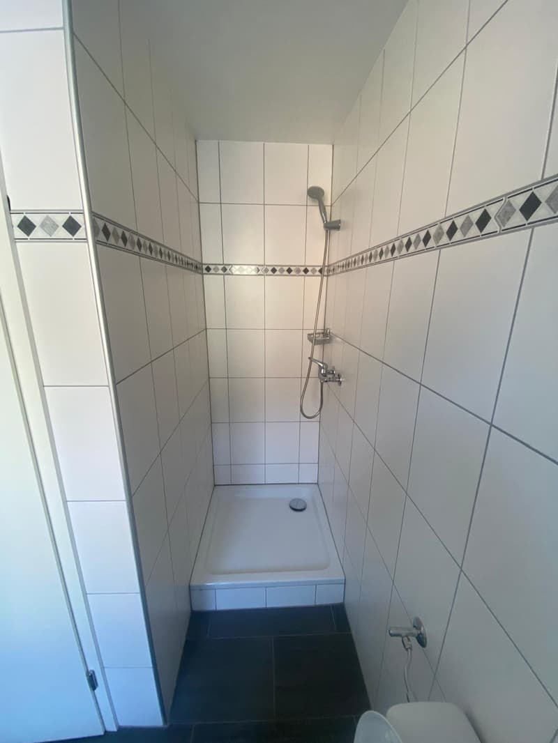 In affitto: appartamento 2 locali con cucina attrezzata - Jonchères 49 (5)