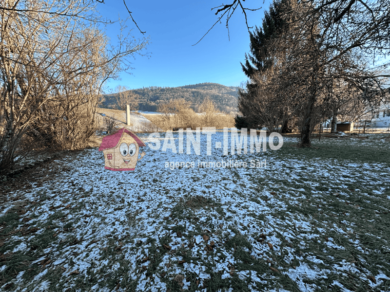 grassy field, trees, snow on the ground, mountains in the background, blue sky
