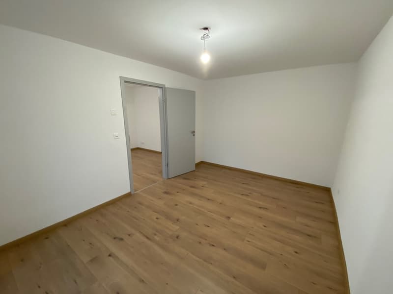 Empty room with wooden floor, white walls, light fixture