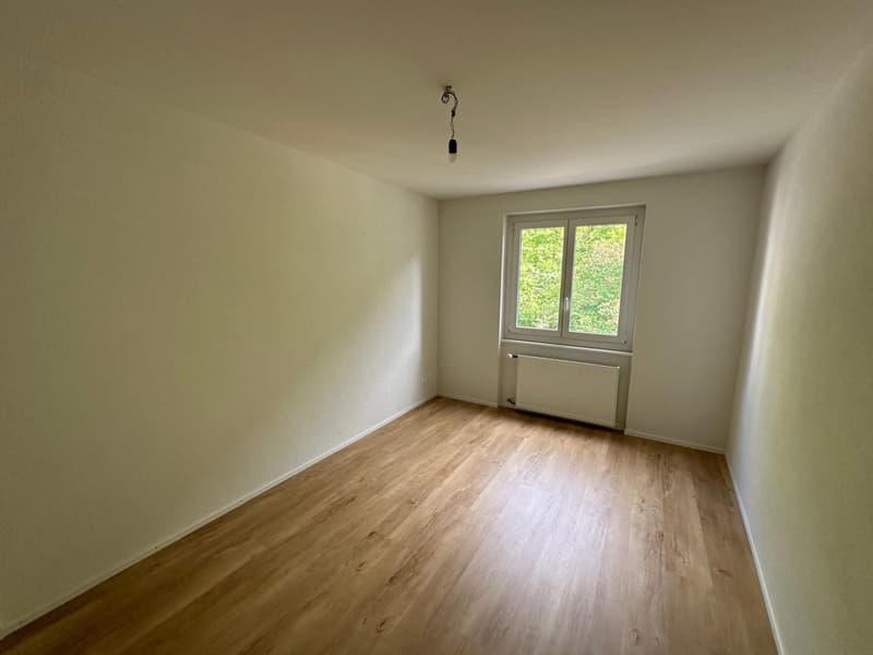 empty room, wooden floor, white walls, window, radiator