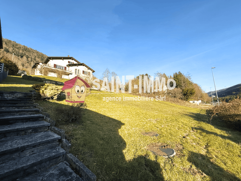 grassy hill with steps, house at the top