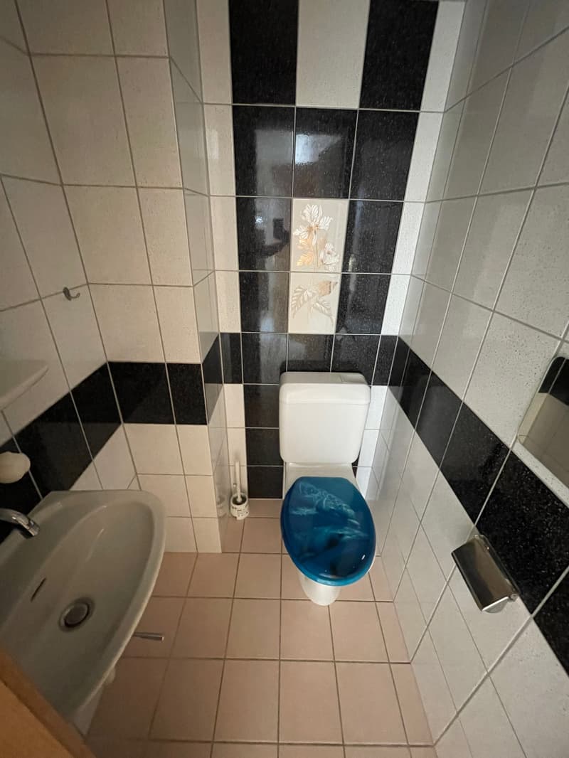 A louer: appartement de 4 pièces - Lavoir 3, Cortébert (6)