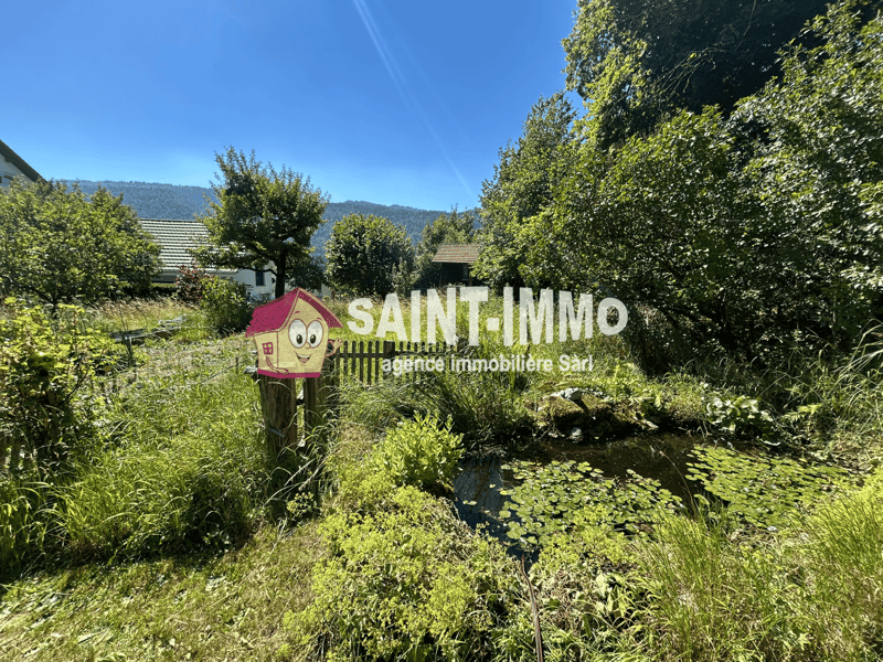 Charmant chalet avec dépendance, garage et jardin arboré sans vis-à-vis (2)
