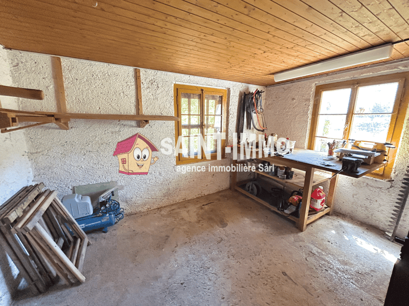 Charmant chalet avec dépendance, garage et jardin arboré sans vis-à-vis (16)