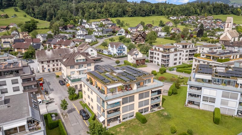 Exklusive 3-Zimmer-Attikawohnung mit Panoramablick (21)