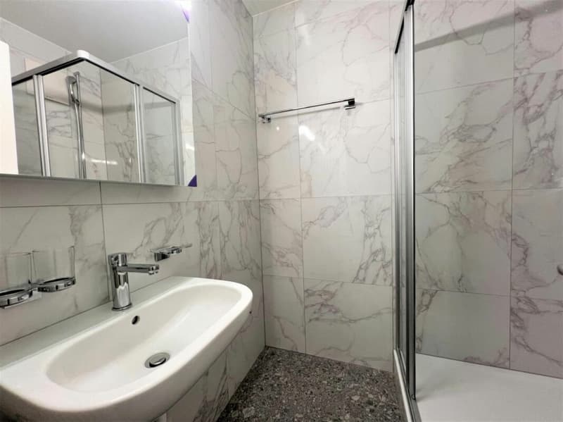 3-room apartment in Le Locle (4)