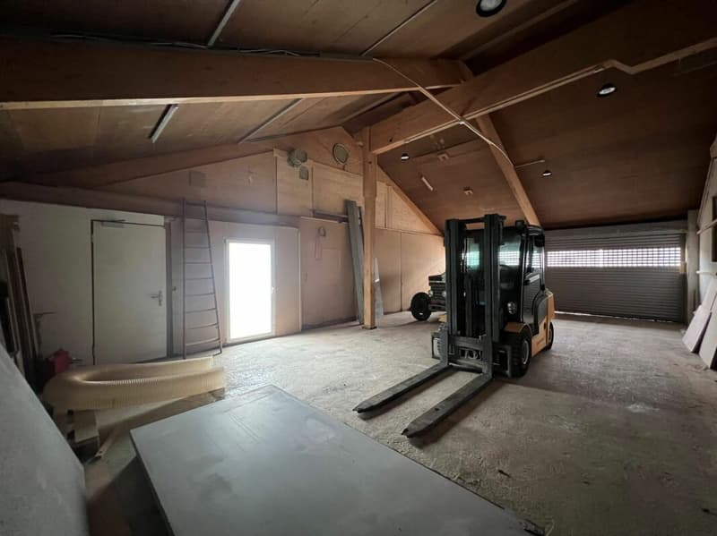 Saint-Blaise - Grande officina con uffici e showroom annesso a una casa di 2 unità abitative (5)