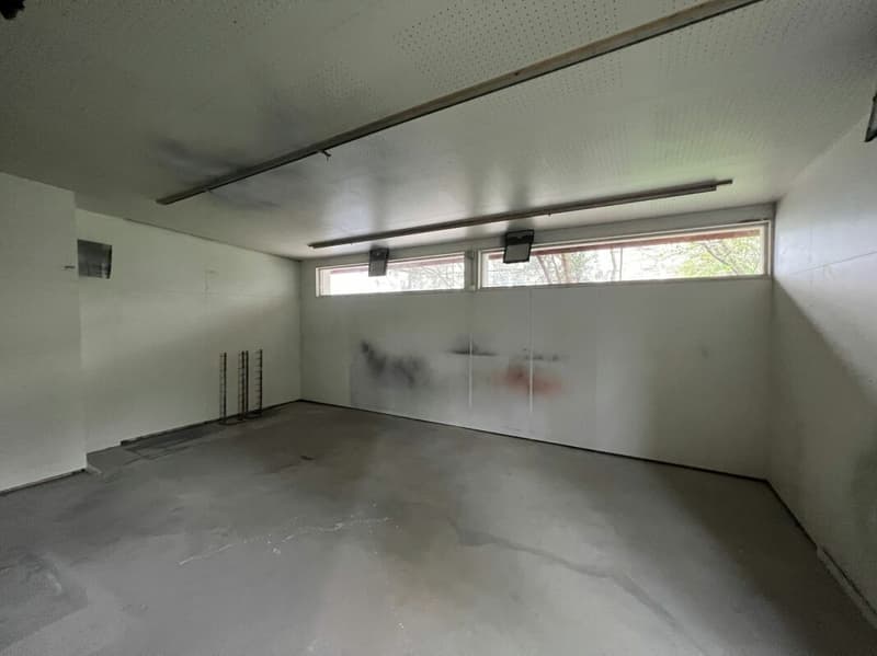 Saint-Blaise - Grande officina con uffici e showroom annesso a una casa di 2 unità abitative (7)