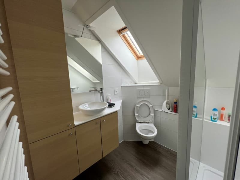 Saint-Blaise - Grande officina con uffici e showroom annesso a una casa di 2 unità abitative (11)