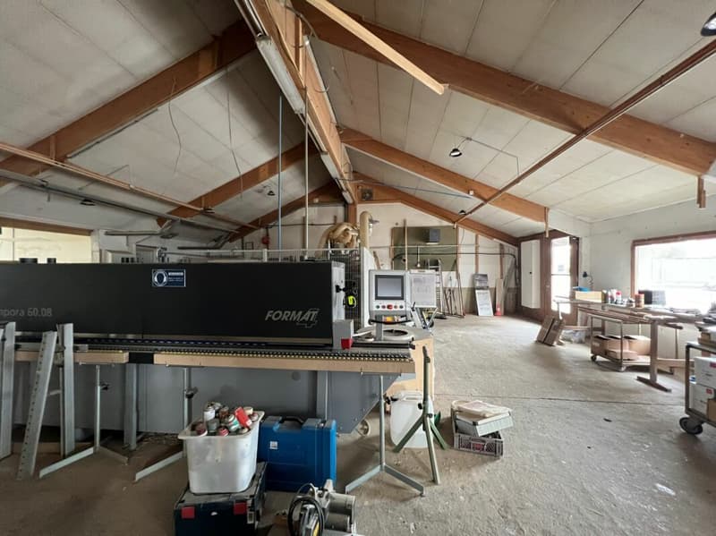 Saint-Blaise - Grande officina con uffici e showroom annesso a una casa di 2 unità abitative (4)