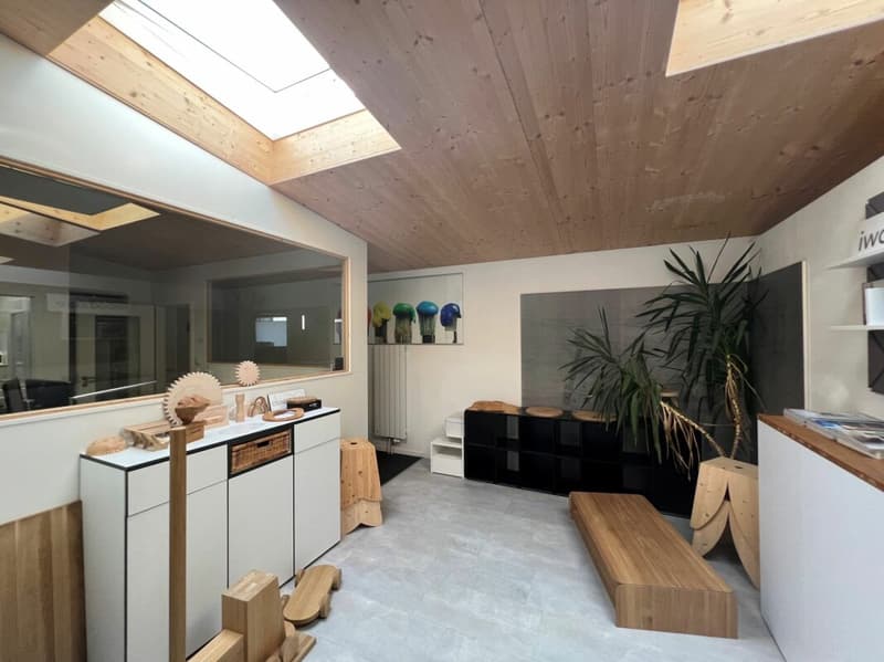Saint-Blaise - Grande officina con uffici e showroom annesso a una casa di 2 unità abitative (8)