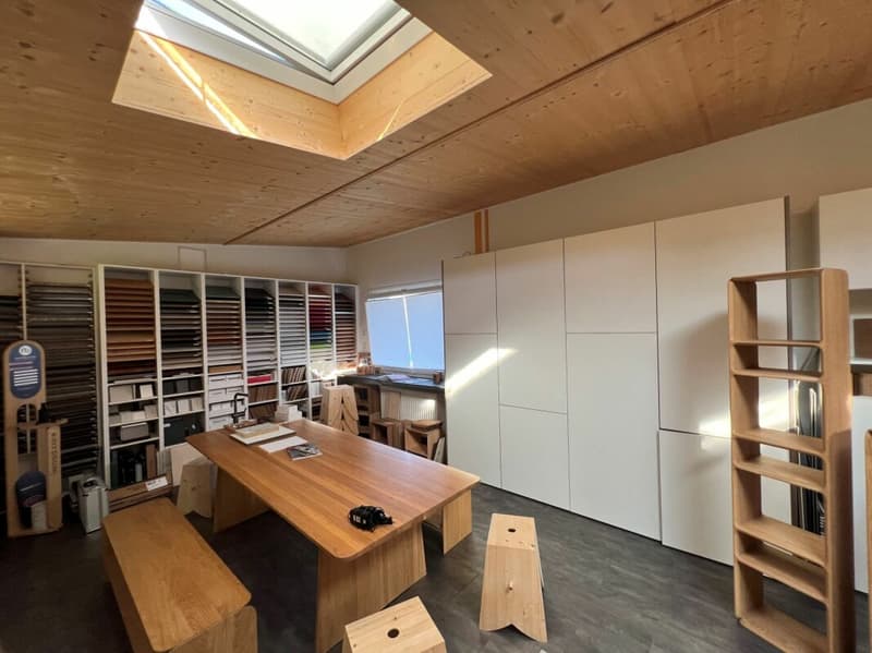 Saint-Blaise - Grande officina con uffici e showroom annesso a una casa di 2 unità abitative (9)
