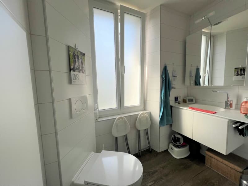 Saint-Blaise - Grande officina con uffici e showroom annesso a una casa di 2 unità abitative (13)