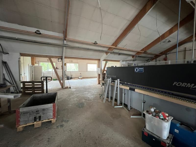Saint-Blaise - Grande officina con uffici e showroom annesso a una casa di 2 unità abitative (6)