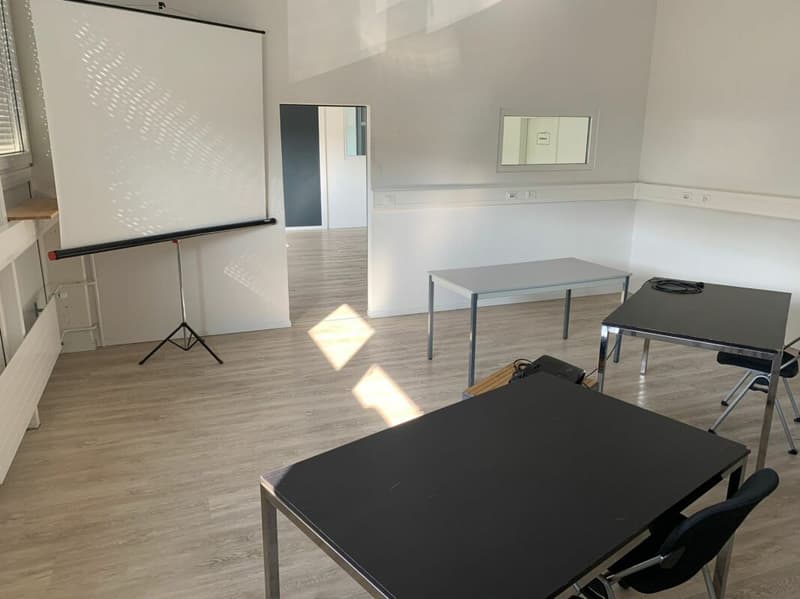 Superficie commerciale in affitto: 328 m2 a piano terra (4)