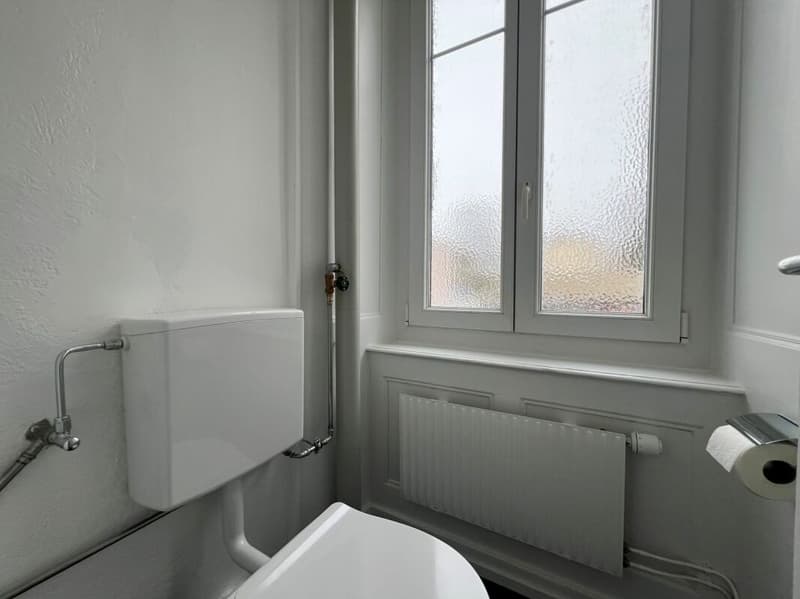 Zukunft 11 Renovierte Gewerbefläche von 114 m2 (4)