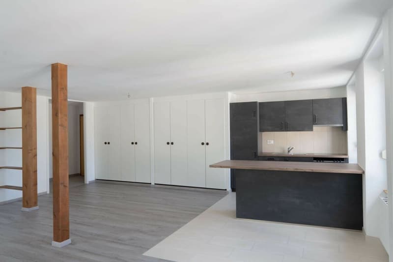 Grand Rue 8, 4.5 rooms on the 1st East (4)