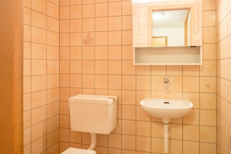 Grand-Rue 8, Les Brenets - 5-room apartment on the ground floor (8)