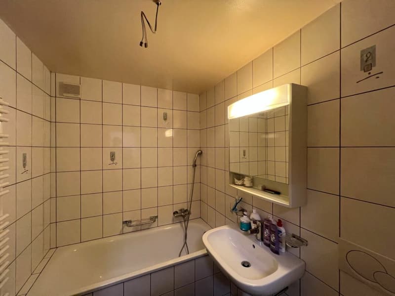 5 Zimmer im 11. Stock (letzter Stock) (9)