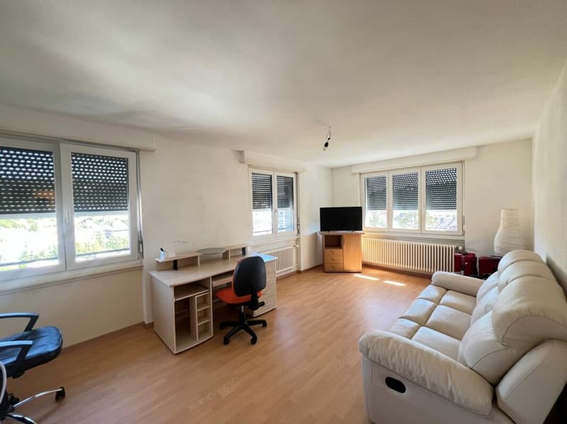 5 Zimmer im 11. Stock (letzter Stock) (4)