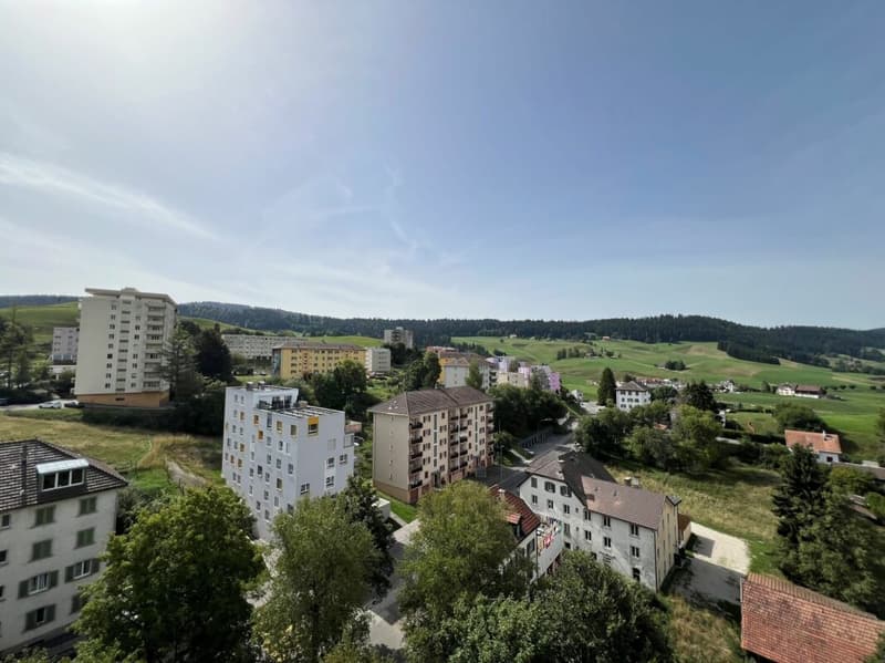 5 pièces au 11eme (dernier étage) (4)