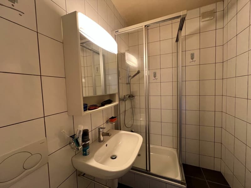 5 Zimmer im 11. Stock (letzter Stock) (6)