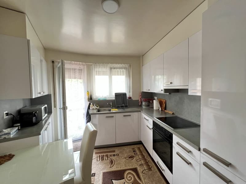 Midi 6 appartement 2 pièces (2)