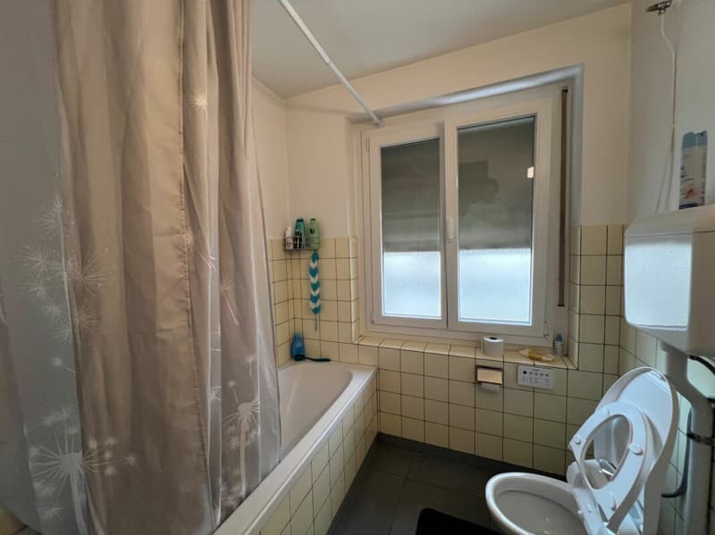 Midi 6 appartement 2 pièces (4)