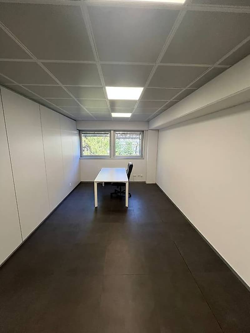 Vaste bureau commercial dans le Centro MiX Moesa Servizi (9)