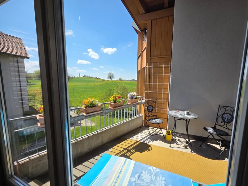 Family-friendly condominium in a multi-family house (3)