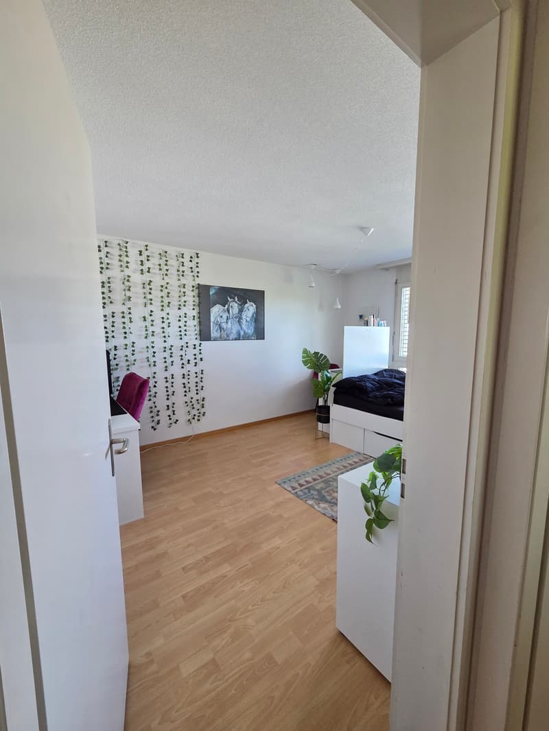 Family-friendly condominium in a multi-family house (5)