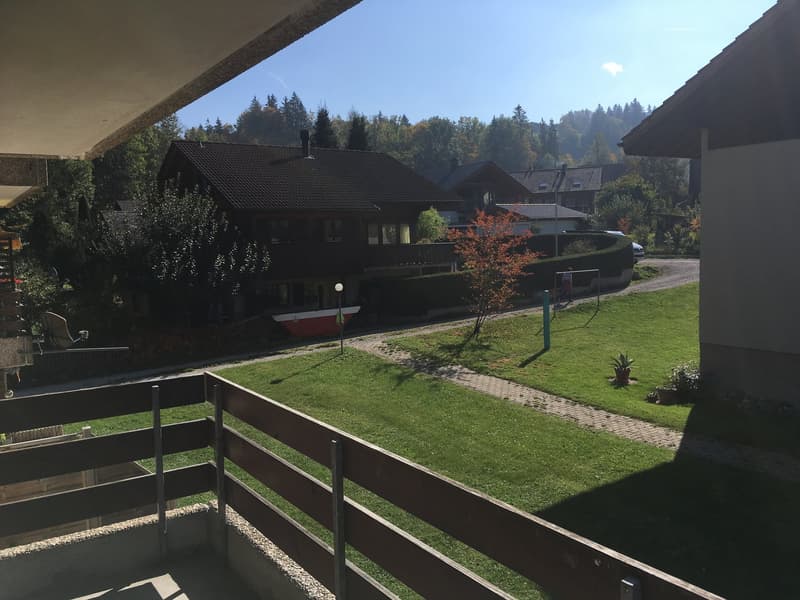 Appartement de 3,5 pièces confortable dans un endroit calme et familial (9)
