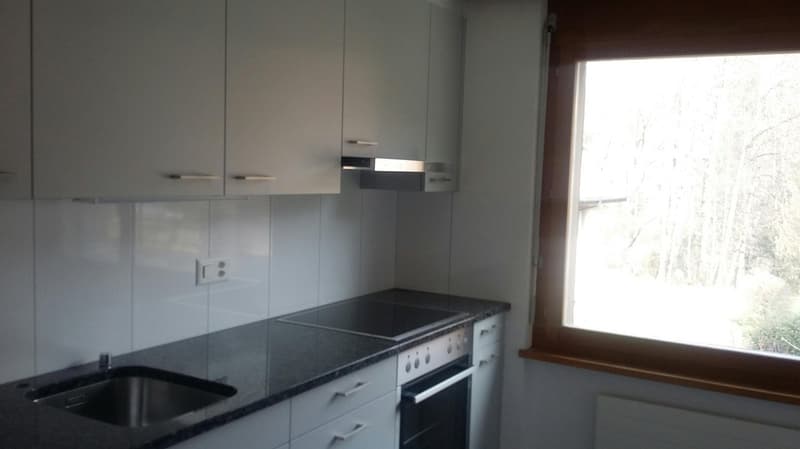 Appartement de 3,5 pièces confortable dans un endroit calme et familial (4)