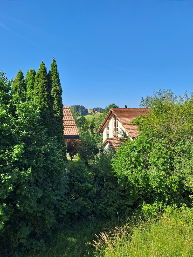 Familienfreundliches 4.5-Zimmer-Einfamilienhaus zu vermieten (9)