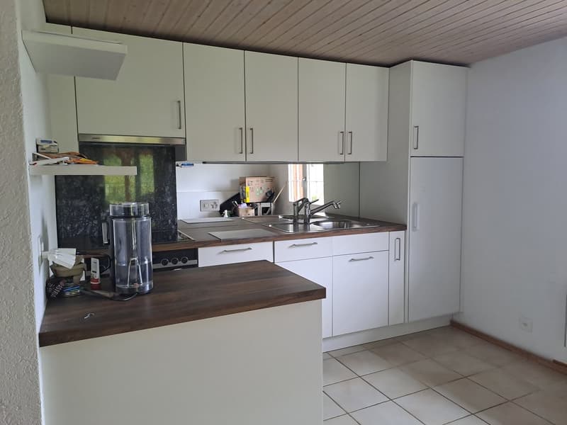 Charmantes Einfamilienhaus mit Studio (3)