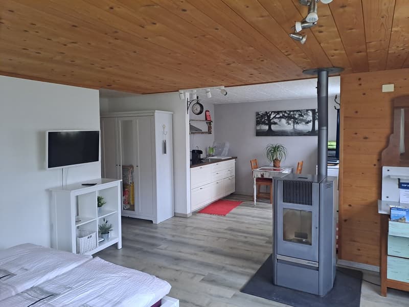 Charmantes Einfamilienhaus mit Studio (9)