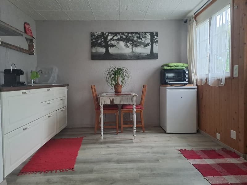 Charmantes Einfamilienhaus mit Studio (10)