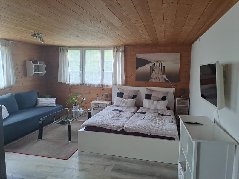 Charmantes Einfamilienhaus mit Studio (8)
