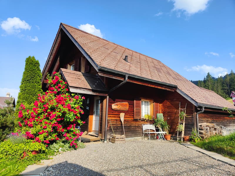 Charmantes Einfamilienhaus mit Studio (1)
