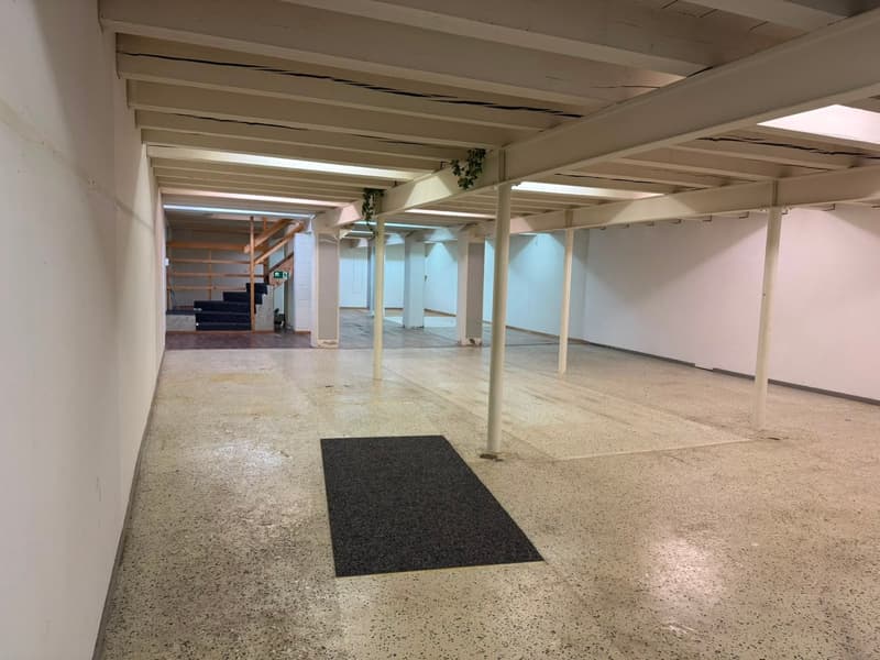 Spazi commerciali polivalenti in affitto (6)