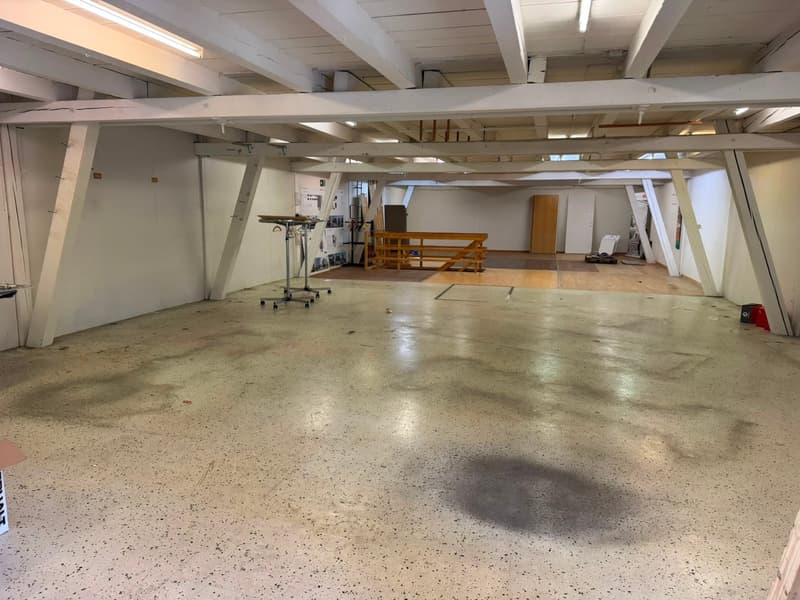 Spazi commerciali polivalenti in affitto (5)